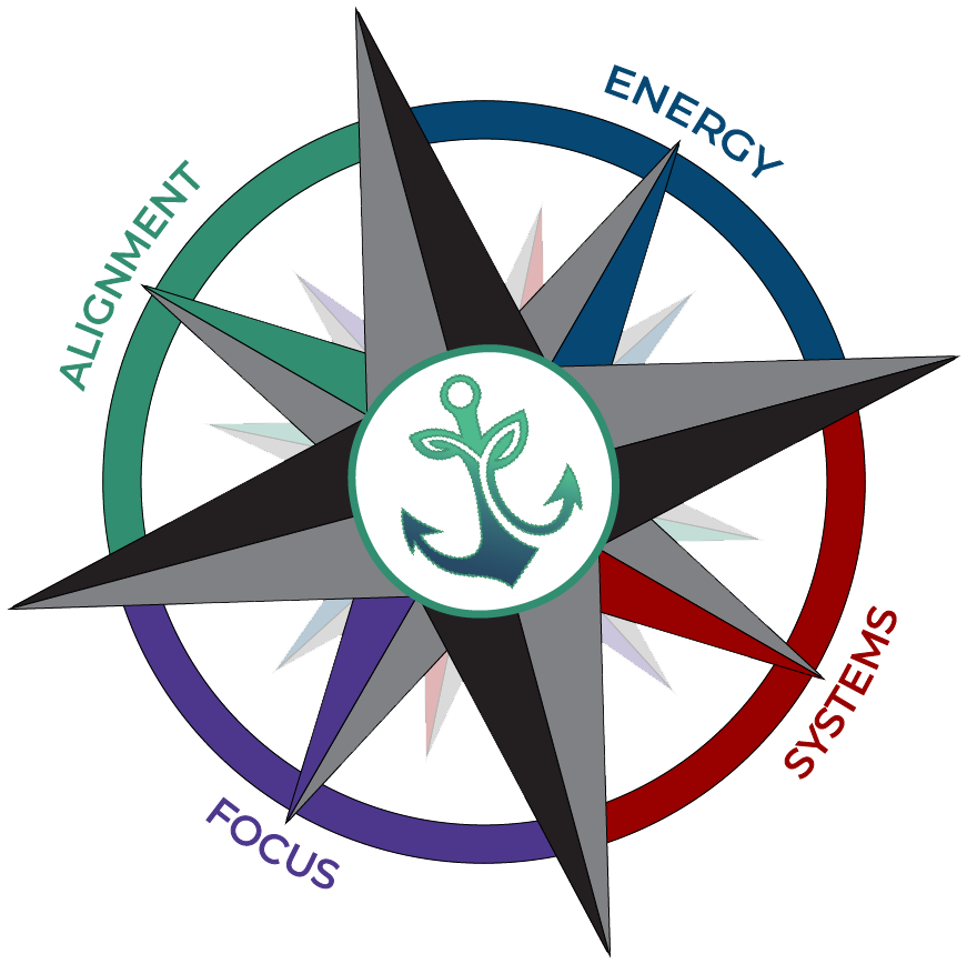 The COO Stability Compass: An Assessment by Anchored For Growth